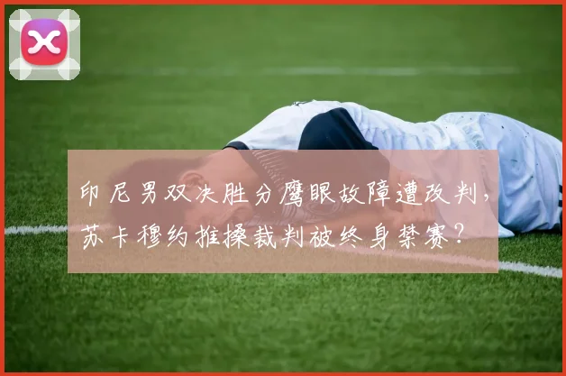 印尼男双决胜分鹰眼故障遭改判，苏卡穆约推搡裁判被终身禁赛？