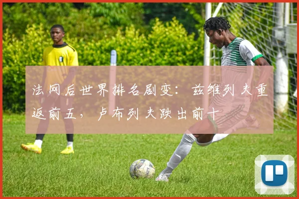 法网后世界排名剧变:兹维列夫重返前五,卢布列夫跌出前十