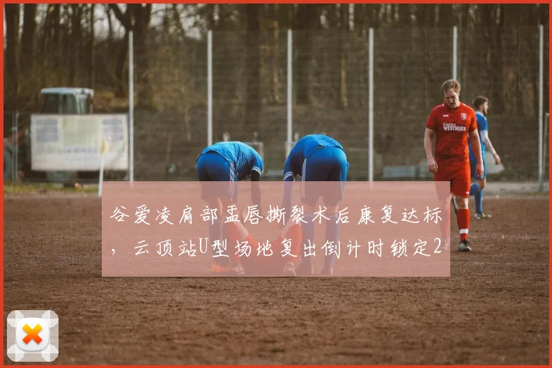 谷爱凌肩部盂唇撕裂术后康复达标,云顶站U型场地复出倒计时锁定2027年1月_br__潘展乐腰背肌劳损进入冲刺训练阶段,全国春季游泳锦标赛或成回归首战
