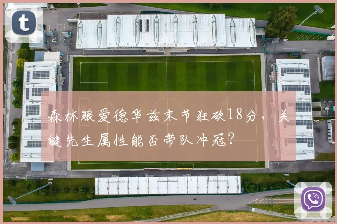 森林狼爱德华兹末节狂砍18分，关键先生属性能否带队冲冠？